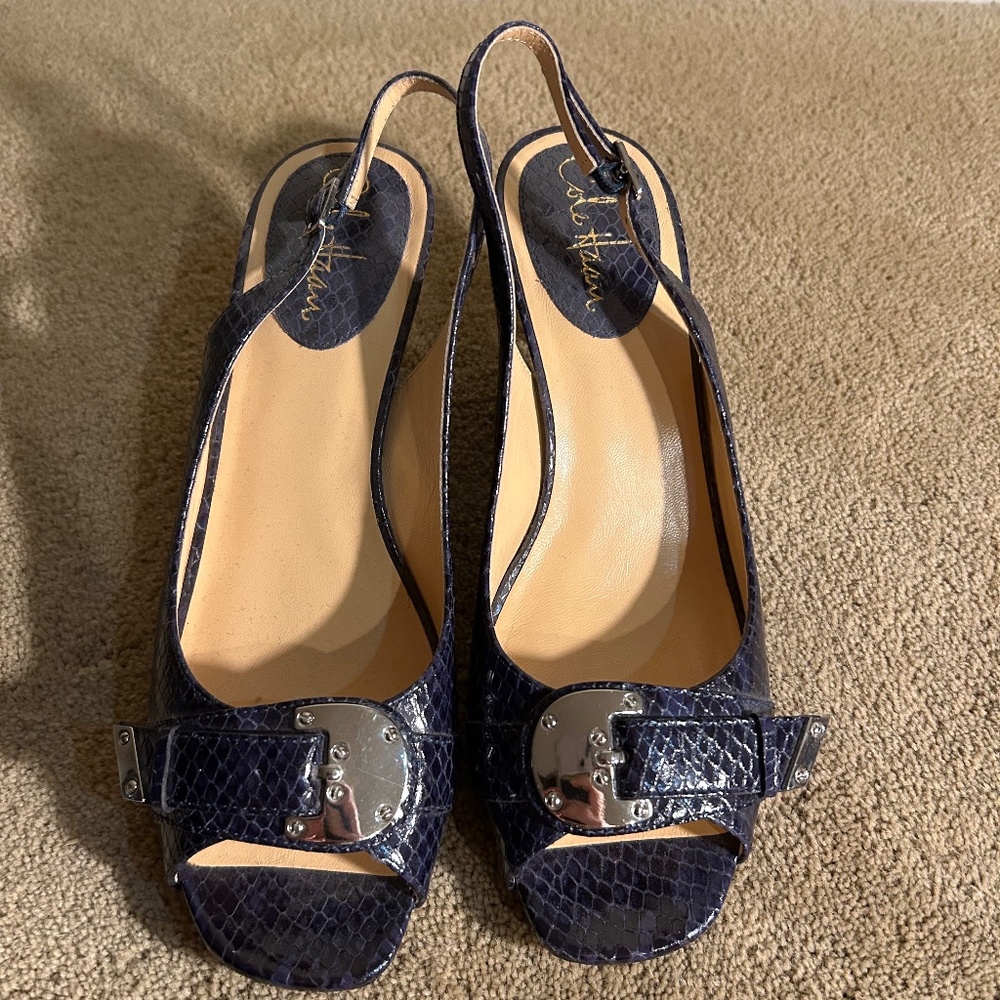 Cole Haan Dark Purple Snake Skin Low Heels